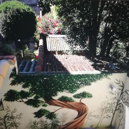Suite Volupte Classee 3 Etoiles Avec Vue Sur Jardin, Climatisation Montpellier Ngoại thất bức ảnh